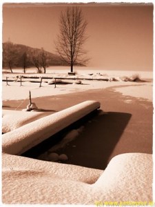 by_Fritz_Renzl_009_4k