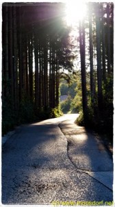 Herbstspaziergang_Moosdorf_002_4k