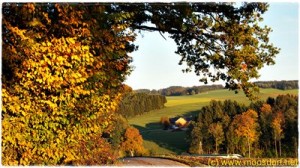 Herbstspaziergang_Moosdorf_010_4k