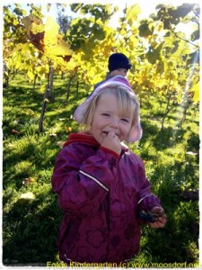 Kindergarten im Weinberg