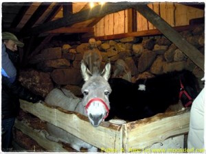 Advent_Wanderung_GG_021_4k