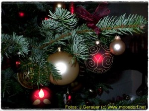 Weihnachtsmotive_Josef_Gerauer_009_4k