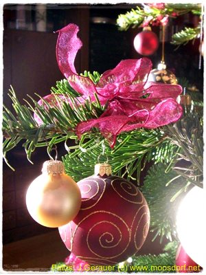 Weihnachtsmotive_Josef_Gerauer_010_4k