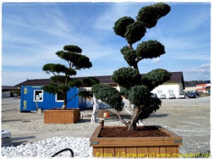 Schaugarten_Mdorf_003_4k