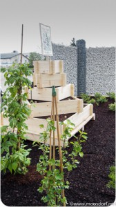 Kartoffelpyramide Fritz