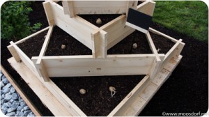 Kartoffel-Pyramide Fritz