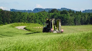 Auf zum nächsten...