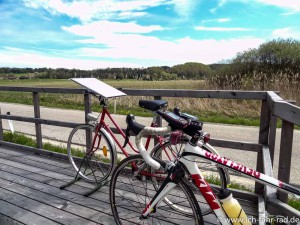 Frühlingstour_Lamprechtshausen_Eggelsberg (4 von 23)