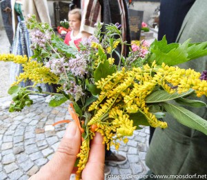 Tag-der-Tracht_2014 (9 von 12)