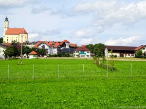 Wanderhuhn-Wiese (1 von 1)
