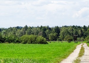 Jägerzaun_Hackenbuch_ (1 von 1)