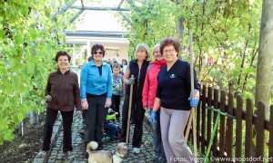 Spontanhilfe-Schulgarten_ (2 von 2)