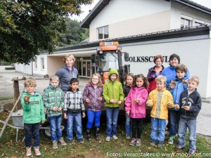 Kartoffelpyramide (6 von 15)