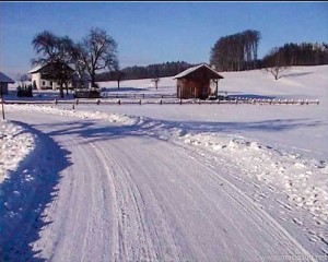 Winter Moosdorf (1 von 1)