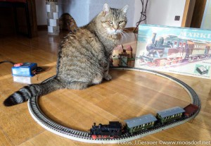 Märklin-Eisenbahn
