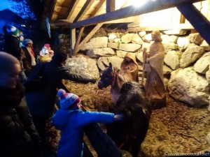 Gesunde Gemeinde Adventwanderung (11 von 22)