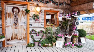 Weihnachtsbäume in Elling