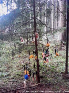 Weihnachtsbaum für Tiere