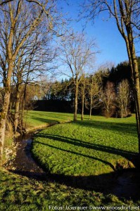 Am Mühlbach-02193