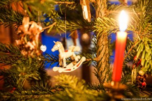 Kerzenbaum (1 von 5)