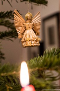 Kerzenbaum (3 von 5)