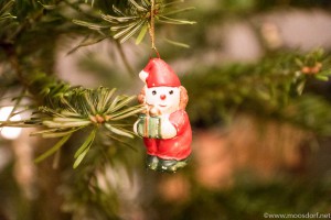 Kerzenbaum (4 von 5)