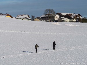 Langlauf_Moosdorf (1 von 1)