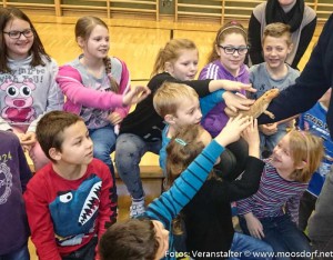 Reptiliien Volksschule (1 von 7)