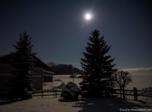 Moosdorfer-Nacht (1 von 1)