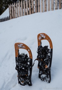 Schneeschuhe (1 von 1)