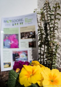 Fruehjahrsbote_2015 (1 von 1)