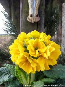 Gerntaler Kreuz (2 von 4)