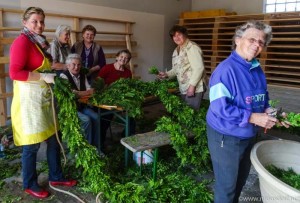 Binden-Landjugend (1 von 1)