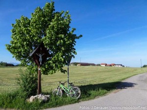 Kohlbacher Kreuz (3 von 4)