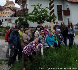 Maibaum Mühlbach (4 von 6)