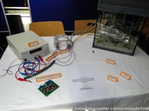 Wasserschlauch Modell Moormuseum (2 von 9)