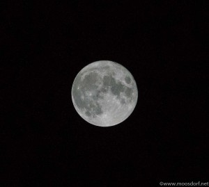 Moosdorfer Nacht (2 von 2)