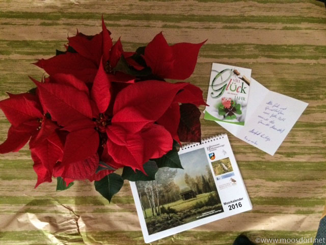 Neujahrspräsent Senioren (1 von 1)