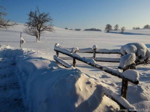 Weihnachtsstadl (1 von 1)