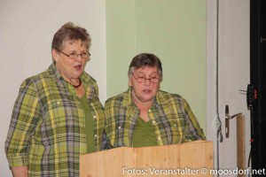 Vollversammlung_ARGE Kultur-11