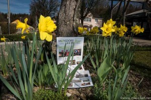 Frühjahrsbote_2016 (1 von 1)