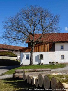 Waldbauer-Bildstock (1 von 4)