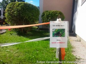 Kindergarten_Vogelbesuch-5
