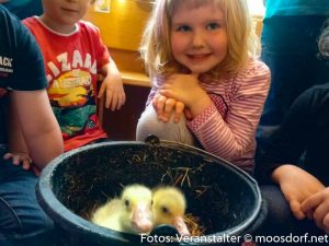 Vogel in Kindergarten