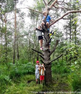 Ferienprogramm 2016 Moorwanderung (18 von 20)