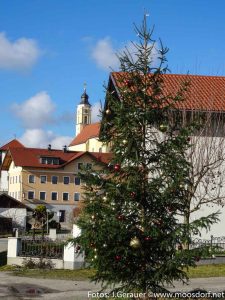 weihnachtsbaum-muehlbach-1-von-5