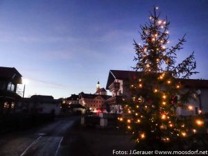 weihnachtsbaum-muehlbach-5-von-5