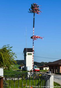 Mühlbach-Michaelbeuern-Straße