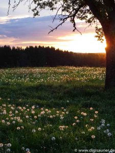 Sonnenuntergang bei Weichsee