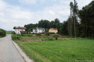 Bäume gefällt bei Einsperg